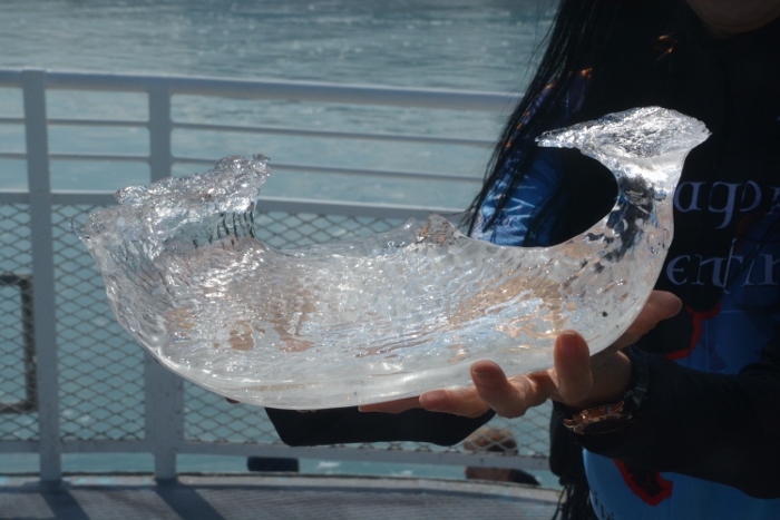 holding a small ice flow